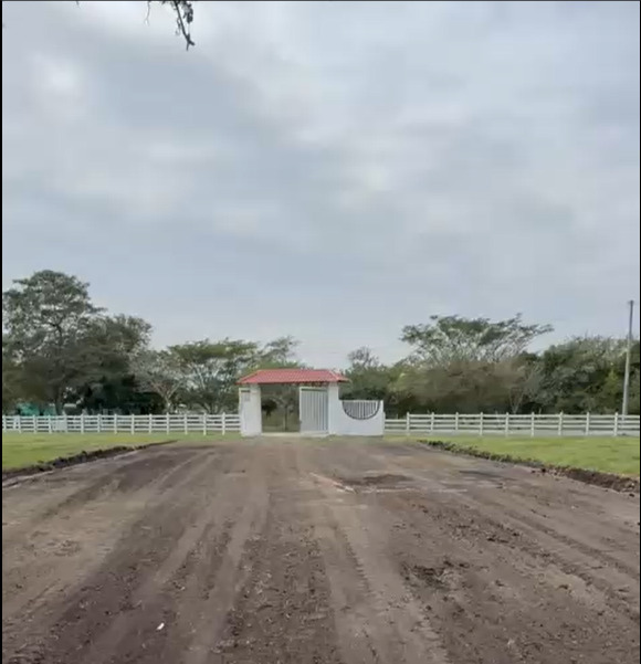 Terreno 2